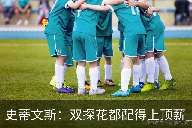 史蒂文斯：双探花都配得上顶薪 坚信他俩能携手为绿军再次夺冠
